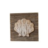 Scalloped Shell on Plaque M2